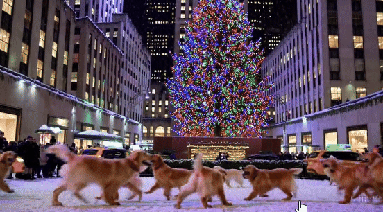3d2350798c472.gif